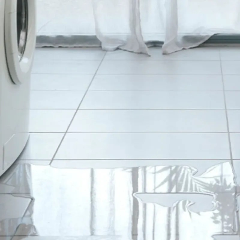 Appliance Leak Cleanup in George West, TX