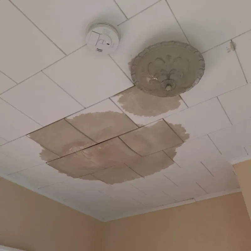 Ceiling Water Damage Repair in George West, TX