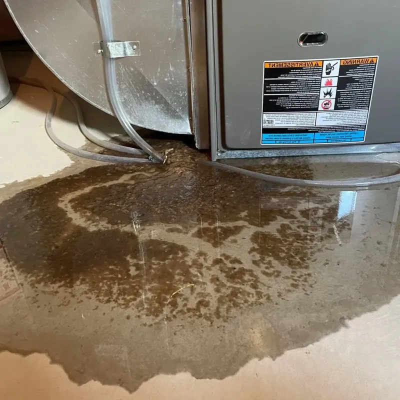 Pipe Burst and Leak Restoration in George West, TX