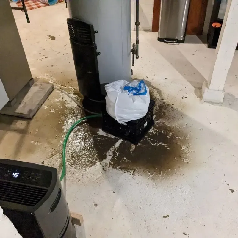 Sewage Backup Cleanup Service in George West, TX